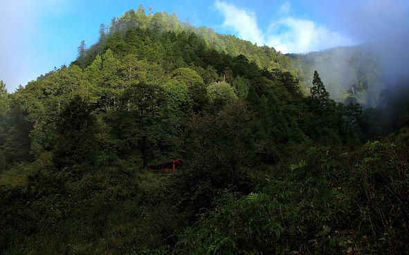 迪庆州-维西县-塔城镇响古箐村/滇金丝猴国家公园