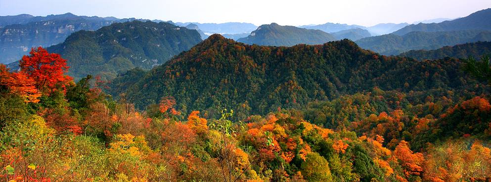 巴中市-南江县-光雾山风景名胜区