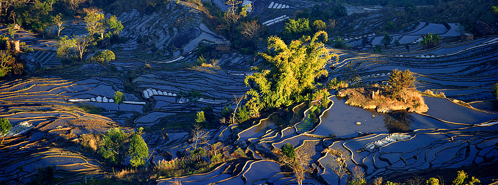 红河州-红河县-宝华乡-撒玛坝梯田