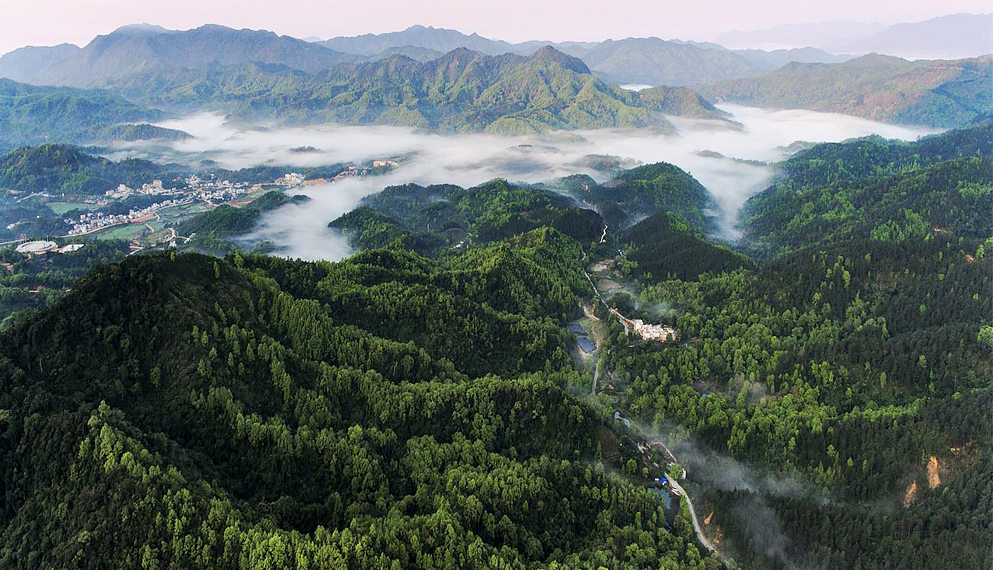 海南省-五指山市-五指山|热带雨林|国家级自然保护区