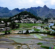 安顺市-镇宁县-扁担山镇-石头寨村