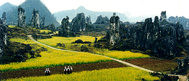 黔西南州-贞丰县-者相镇-竹林堡石林风景区