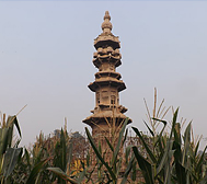 石家庄市-赞皇县-南清河乡-嘉应寺村-|唐|治平寺石塔