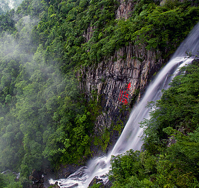 赣州市-安远县-三百山·东江源（三百山国家森林公园·三百山国家风景名胜区）风景旅游区|5A