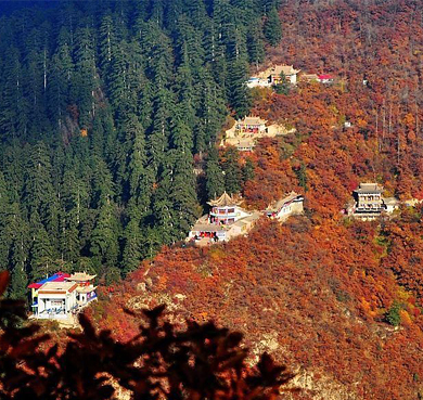 兰州市-榆中县-兴隆山·成吉思汗庙（兴隆山国家级自然保护区）风景旅游区|4A