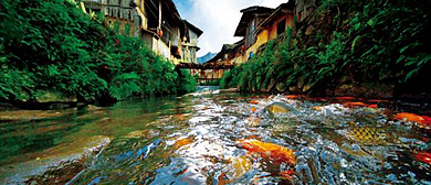 宁德市-周宁县-狮城镇-浦源村·鲤鱼溪风景旅游区|4A