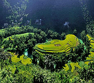 河池市-巴马县-西山乡-弄友村