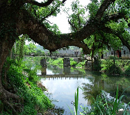 吉安市-永新县-坳南乡-牛田红军村