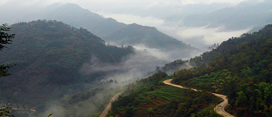 宜宾市-筠连县-塘坝乡-仙雾山森林公园 