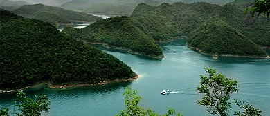 荆门市-东宝区-漳河镇-漳河湿地（漳河水库·漳河国家湿地公园）风景旅游区|4A