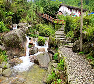 宜春市-袁州区-明月山·南惹村