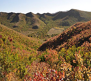 兴安盟-突泉县-杜西沟风景区