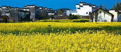 上饶市-婺源县-思口镇-延村（思溪延村）风景旅游区|4A