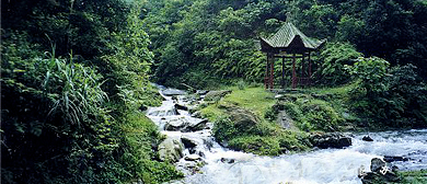 遵义市-红花岗区-金鼎山镇-大板水国家森林公园