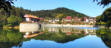 福州市-晋安区-林阳寺|梅花风景区