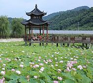 宣城市-宁国市-汪溪镇-落花荡村