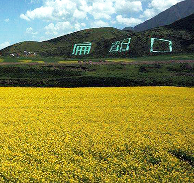 张掖市-民乐县-南丰乡-扁都口（油菜花海）风景旅游区|4A