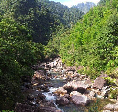 南平市-武夷山市-武夷山|武夷大峡谷|国家森林公园