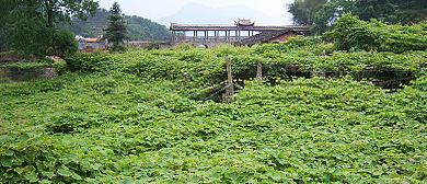 宁德市-福安市-穆云乡-溪塔村|葡萄沟|2A