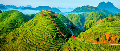 三明市-大田县-屏山乡-大仙峰·茶美人风景旅游区|4A