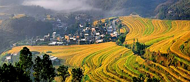 梅州市-大埔县-大东镇-坪山村·坪山梯田风景区