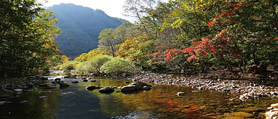 丹东市-凤城市-赛马镇-蒲石河森林公园