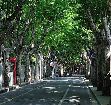 上海市-黄浦区-思南路（思南公馆别墅群）历史文化街区