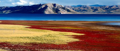 果洛州-玛多县-花石峡镇-冬格措纳湖国家湿地公园