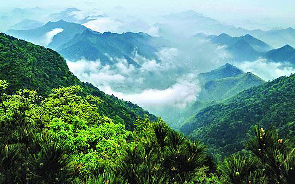 杭州市-临安区-天目山·西天目山（天目山国家级自然保护区）风景旅游区|4A