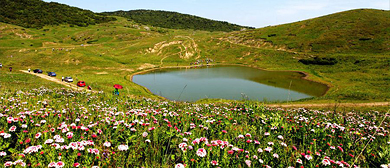 晋城市-阳城县-横河镇-析城山风景旅游区|4A