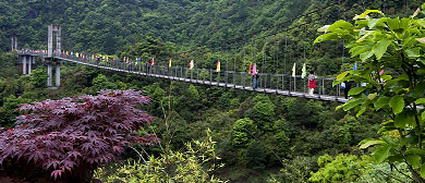 温州市-文成县-西坑镇-龙麒源峡谷风景旅游区|4A