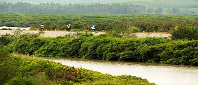 海南省-临高县-后水湾红树林