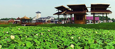 天津市-西青区-辛口镇-水高庄村·水高庄园风景旅游区|4A