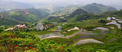 黔东南州-黄平县-谷陇镇-大高山（万亩杜鹃）风景区