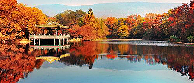 南京市-玄武区-钟山·流徽榭（游乐园）风景旅游区