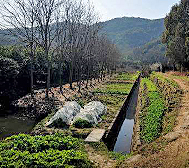 杭州市-萧山区-进化镇-|周|茅湾里窑址