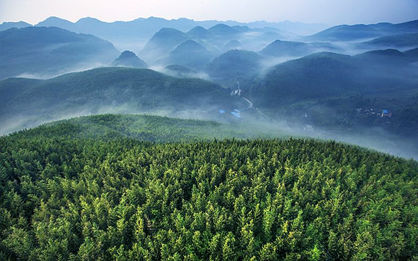 重庆市-梁平区-梁平百里竹海·风景旅游区