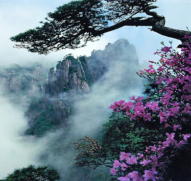 上饶市-玉山县-三清山|南清园风景区