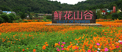 成都市-金堂县-转龙镇-鲜花山谷风景旅游区