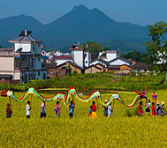 韶关市-仁化县-扶溪镇-古夏村