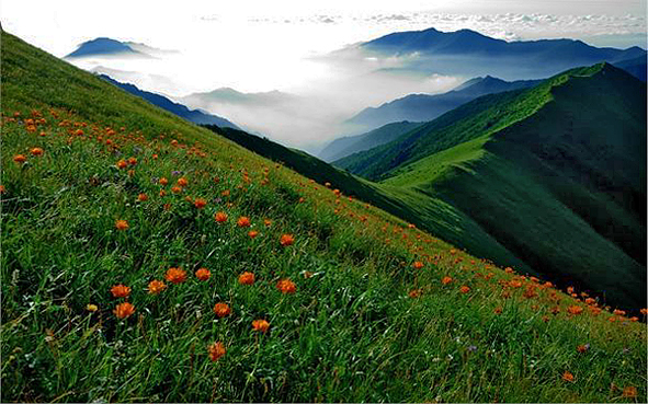 张家口市-蔚县|涿鹿县-小五台山（太行山主峰·2882米）国家级自然保护区