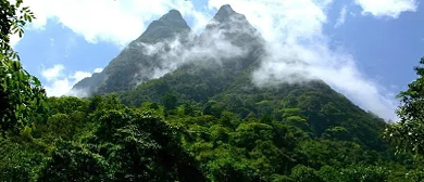 红河州-元阳县-哀牢山·观音山自然保护区