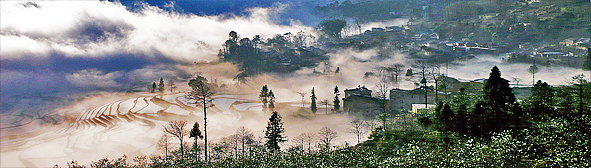 红河州-元阳县-新街镇-多依树村·（元阳梯田）多依树梯田风景旅游区|4A