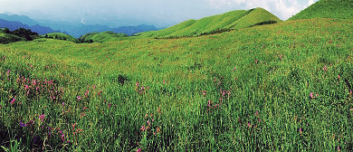 桂林市-恭城县-嘉会镇-燕子山（天仙草原）风景区