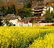 保山市-施甸县-仁和镇-保场村·东山寺