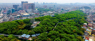 佛山市-顺德区-华盖山（空中栈道）风景区