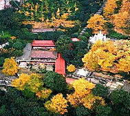 成都市-大邑县-金星乡-白岩寺