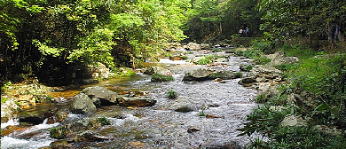 吉安市-井冈山市-井冈山·水口风景区 