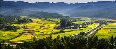 宜春市-铜鼓县-三都镇-西向村·铜鼓梯田风景区