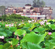 宜春市-铜鼓县-大塅镇-浒村 